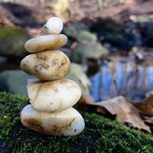 Meet your Posher, Gordon